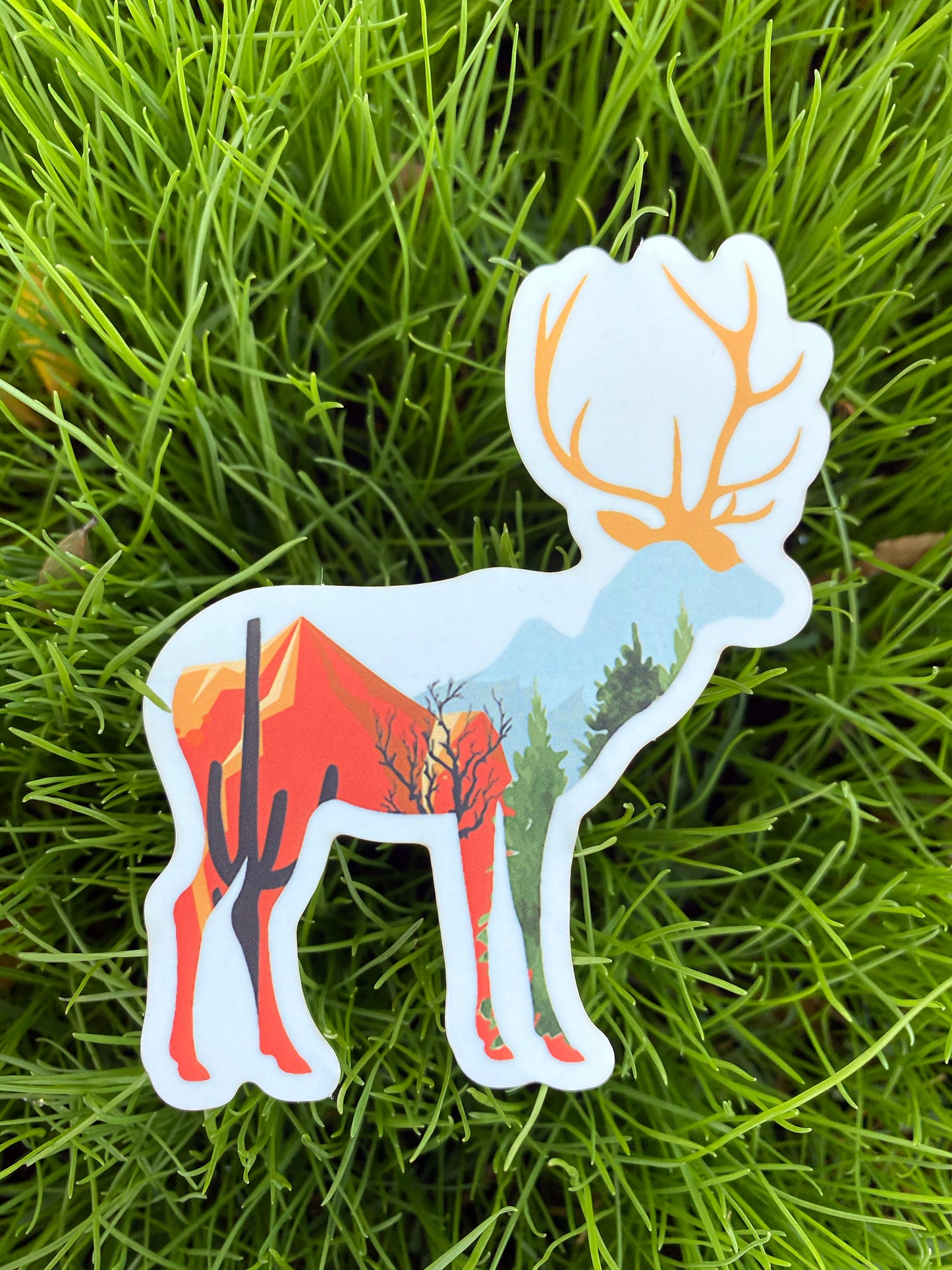 Arizona More Than Just Desert Deer Sticker